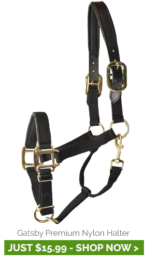 Gatsby Premium Nylon Halter With Padded Leather Overlay