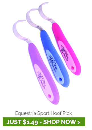 Equestria Sport Hoof Pick