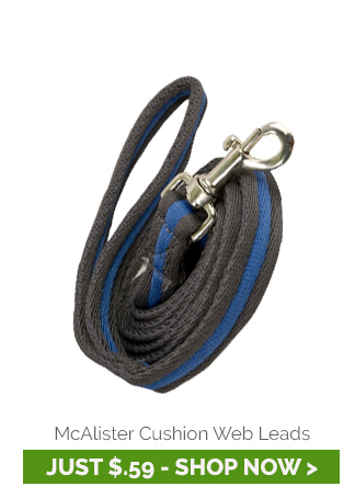 McAlister Cushion Web Leads