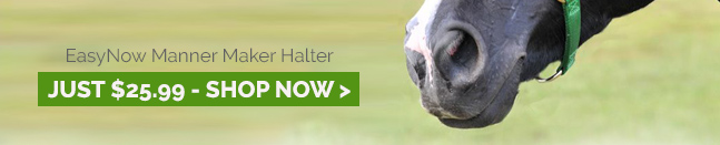 Easy Now Manner Maker Halter