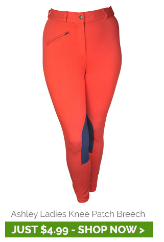 Ashley Ladies Clarino Knee Patch Breech