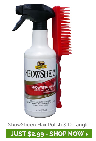 Absorbine ShowSheen Hair Polish & Detangler With Free Brush