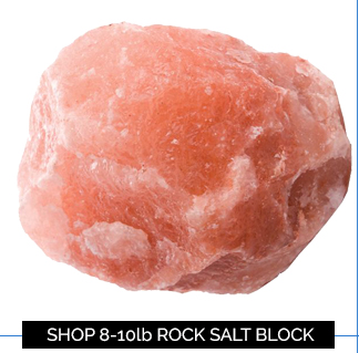 8-10lb Rock Salt