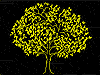 Alberi vari Alberi vari