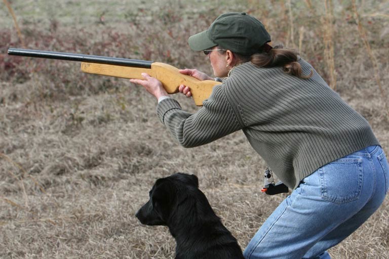 Retriever Hunting Tests American Kennel Club