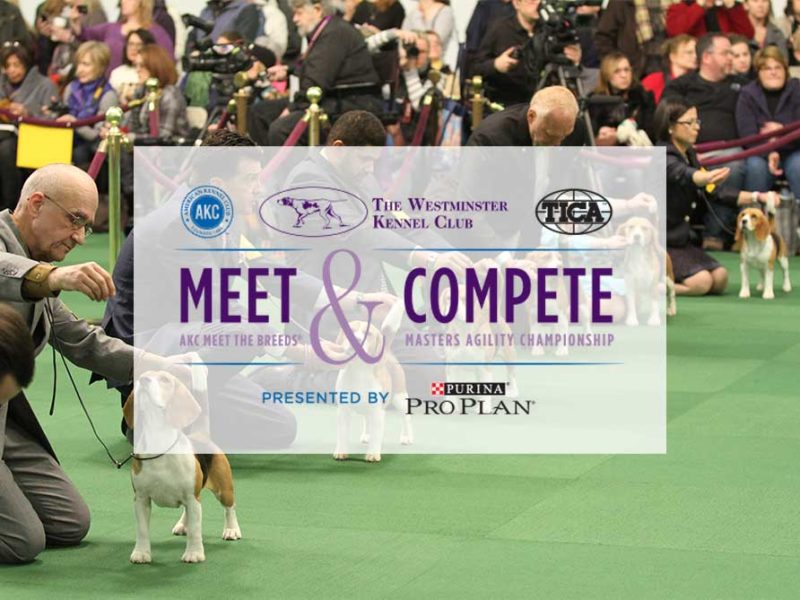 meet the breeds