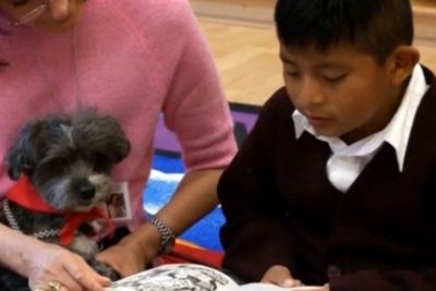 Child reading with a therapy dog