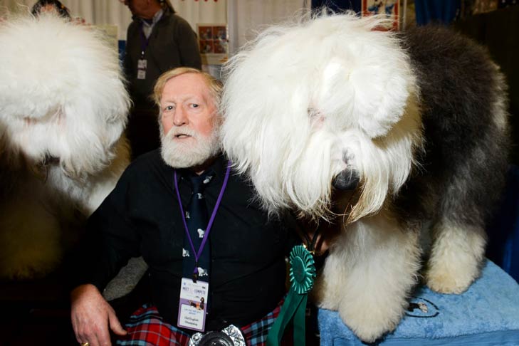 Old English Sheepdog Meet the Breeds