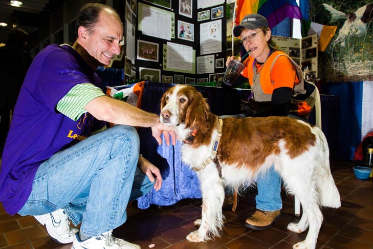 Irish Red and White Setter Meet the Breeds