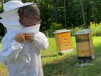 suzanne-bees