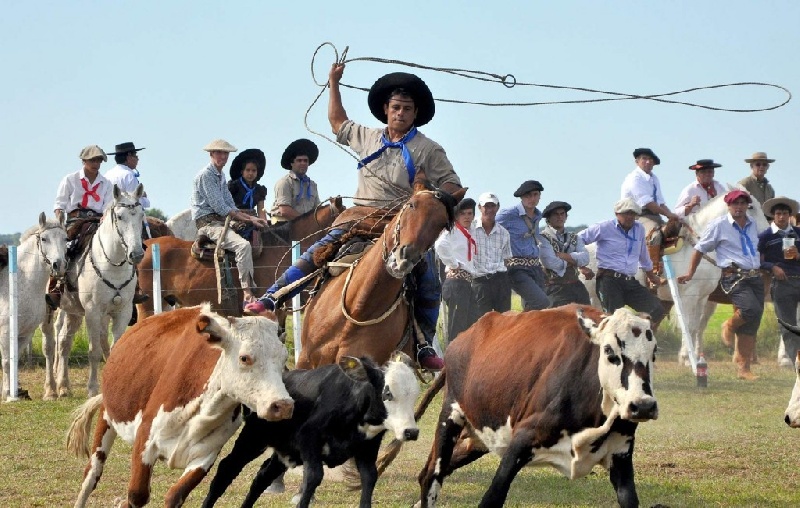 Concepción del Yaguareté