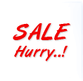 guru travel deals