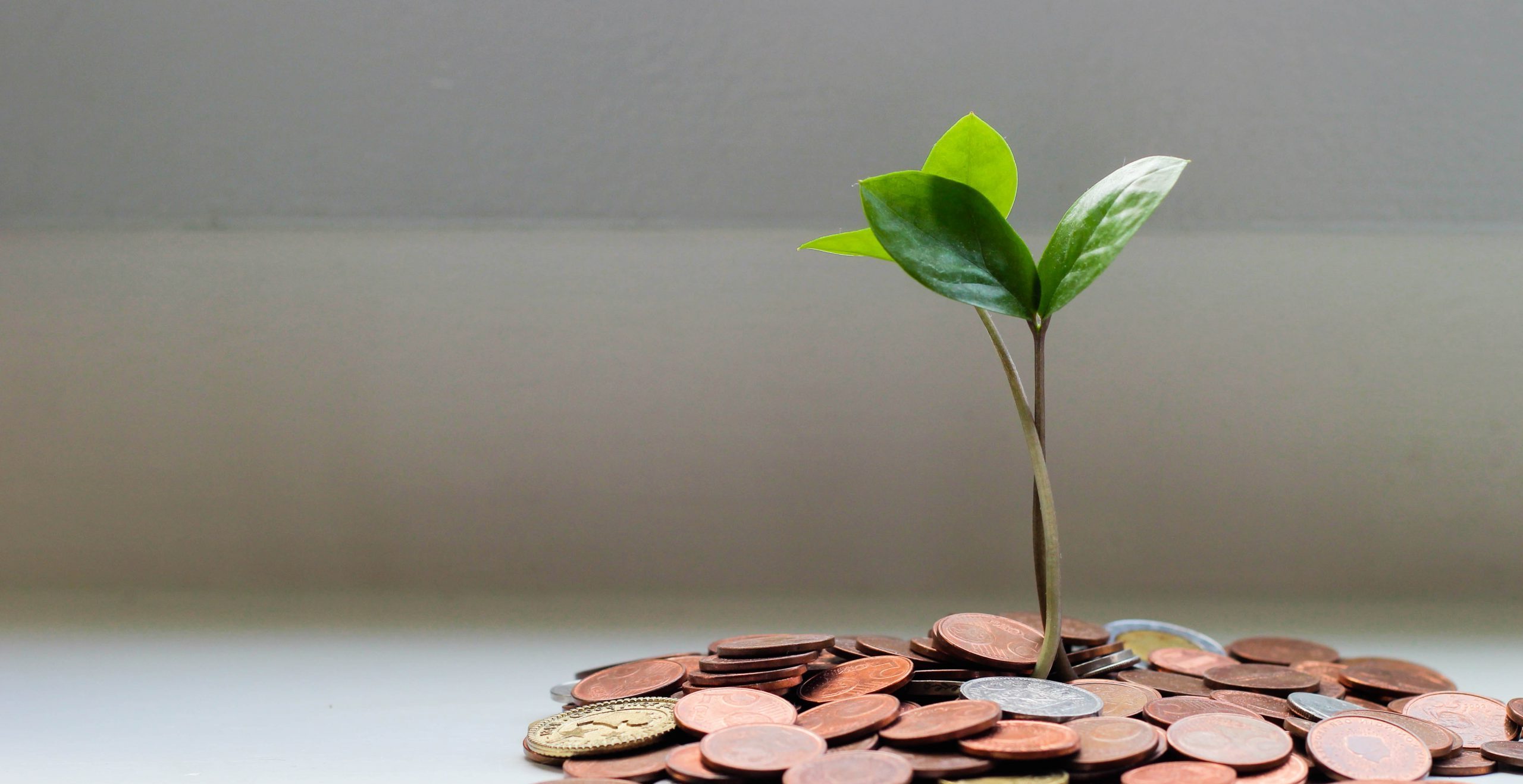 Many Generations in the Making, Change We Seek Fund Remains Very Much a Family Affair