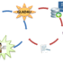 GLAD4U: deriving and prioritizing gene lists from PubMed literature