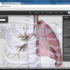 The BioDigital Human Platform