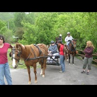 Camp K Horses for Heroes Trailride and Salute