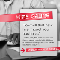 Hire Gauge