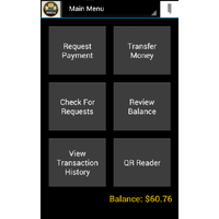 MintChip Peer-to-Peer Transaction System