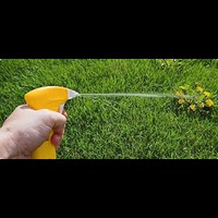 Call Weeding
