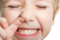 Image: Grossology: The (Impolite) Science of the Human Body