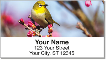 Backyard Bird Address Labels