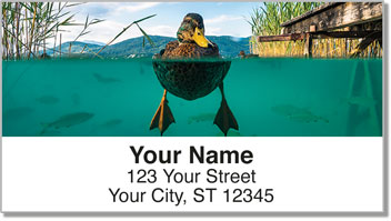 Duck Address Labels