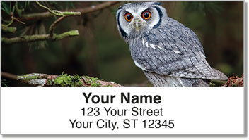 Owl Address Labels