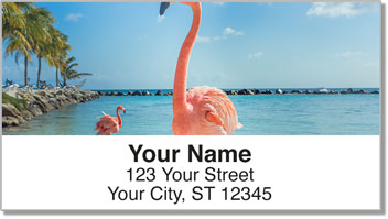 Pink Flamingo Address Labels