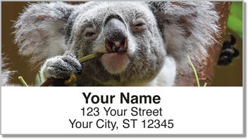 Animals of Australia Address Labels