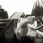 090829darsyl0049