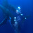 Fin050818_01270-3