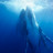 Fin050818_01282