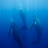 Fin050818_01220