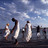 11_beach-dance