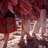 08020114_censth_scans103