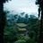 08020114_censth_scans055