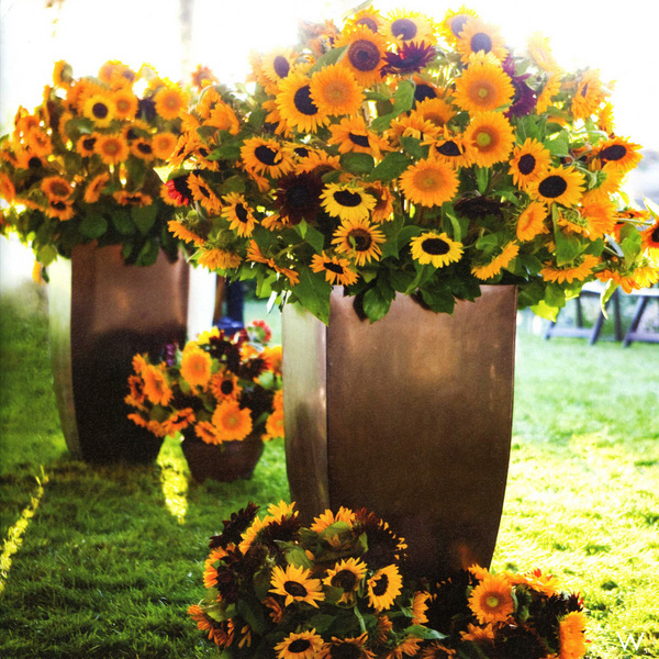 Wellwed_spring-sum_2010005