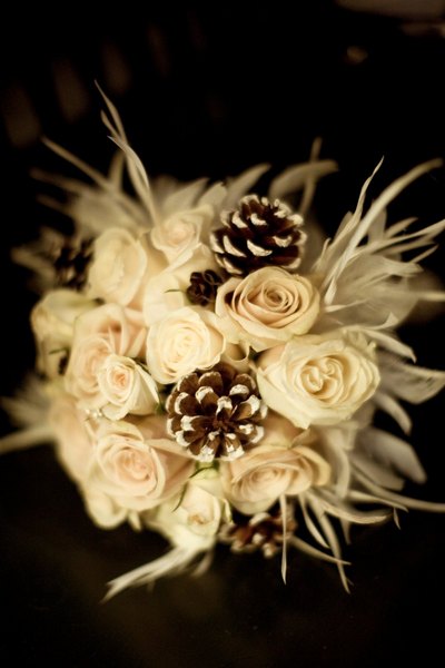 081122birdev0209