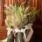 Christian_oth_studio_111001chrjat0011