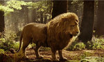 Aslan_thumb