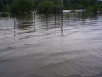 Flood-water_thumb