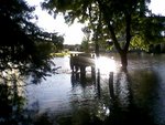 Water-walking_thumb