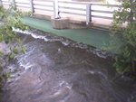 Under-bridge_thumb