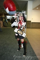 Anime Expo 2009