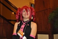 Dsc_0740_thumb