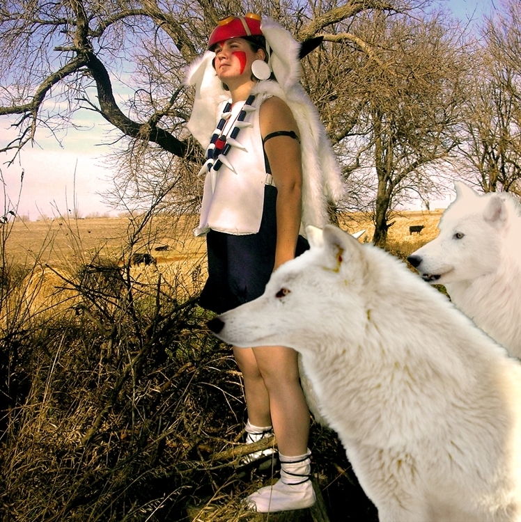 Distracted from the Hunt