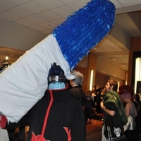 Dsc_0272_big_thumb