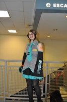 Dsc_0215_thumb