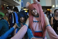 Dsc_0177_thumb