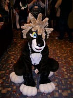 Lion_thumb